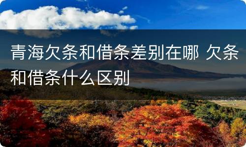 青海欠条和借条差别在哪 欠条和借条什么区别
