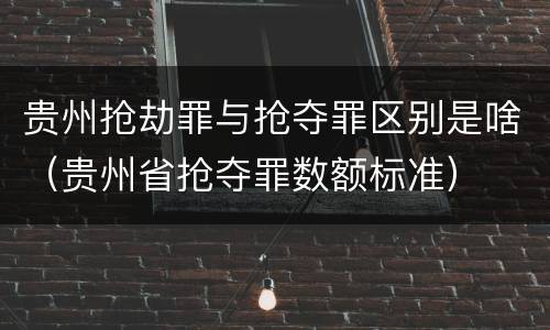 贵州抢劫罪与抢夺罪区别是啥（贵州省抢夺罪数额标准）