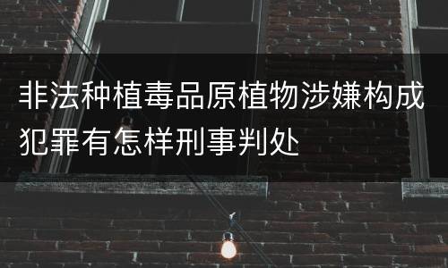 非法种植毒品原植物涉嫌构成犯罪有怎样刑事判处