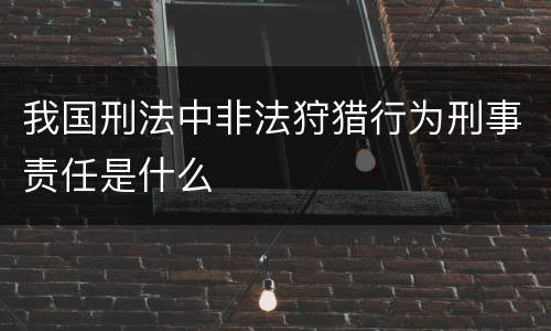 我国刑法中非法狩猎行为刑事责任是什么