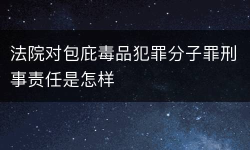 法院对包庇毒品犯罪分子罪刑事责任是怎样