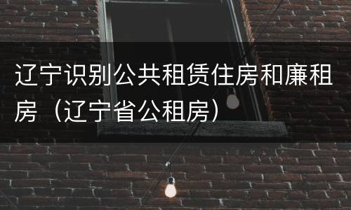 辽宁识别公共租赁住房和廉租房（辽宁省公租房）