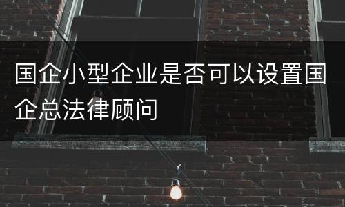 国企小型企业是否可以设置国企总法律顾问