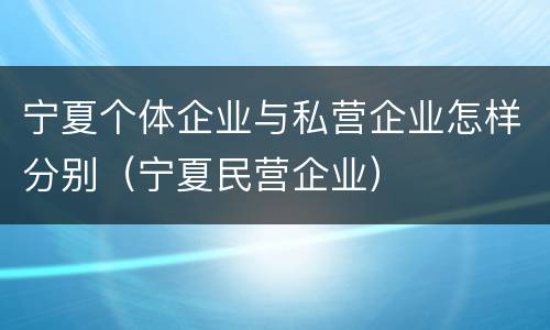 宁夏个体企业与私营企业怎样分别（宁夏民营企业）