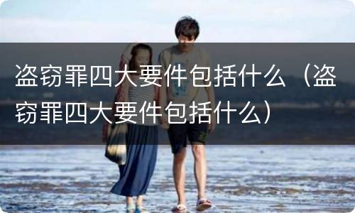盗窃罪四大要件包括什么（盗窃罪四大要件包括什么）