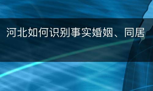 河北如何识别事实婚姻、同居