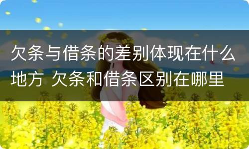 欠条与借条的差别体现在什么地方 欠条和借条区别在哪里