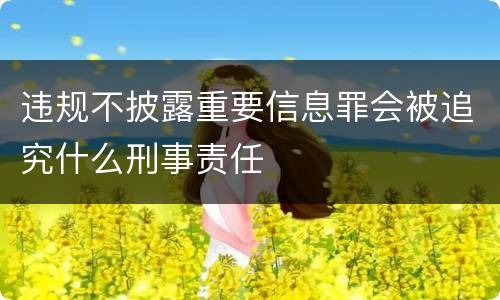 违规不披露重要信息罪会被追究什么刑事责任