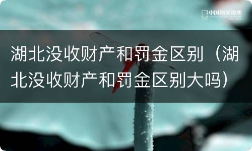 湖北没收财产和罚金区别（湖北没收财产和罚金区别大吗）