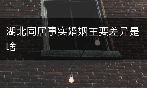湖北同居事实婚姻主要差异是啥