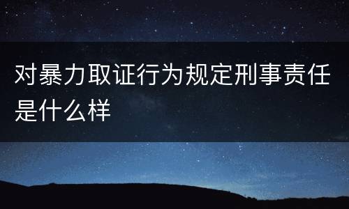 对暴力取证行为规定刑事责任是什么样