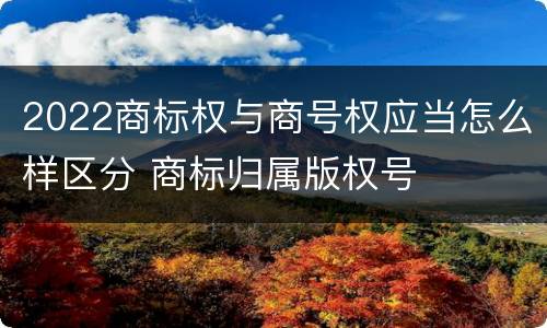 2022商标权与商号权应当怎么样区分 商标归属版权号