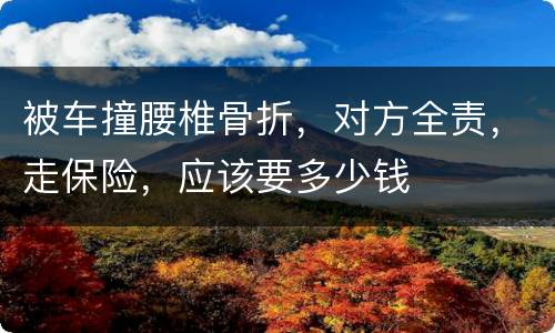 被车撞腰椎骨折，对方全责，走保险，应该要多少钱