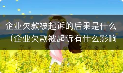 企业欠款被起诉的后果是什么（企业欠款被起诉有什么影响）