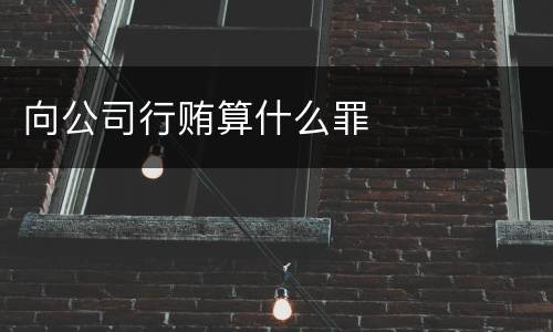 向公司行贿算什么罪