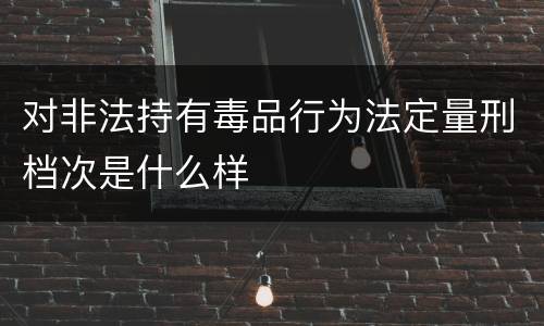 对非法持有毒品行为法定量刑档次是什么样