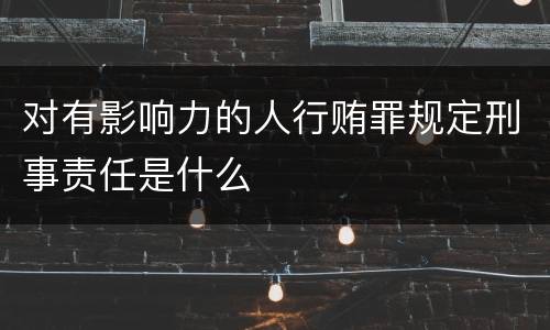对有影响力的人行贿罪规定刑事责任是什么