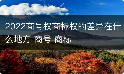 2022商号权商标权的差异在什么地方 商号 商标