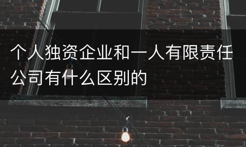 个人独资企业和一人有限责任公司有什么区别的