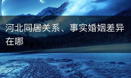 河北同居关系、事实婚姻差异在哪