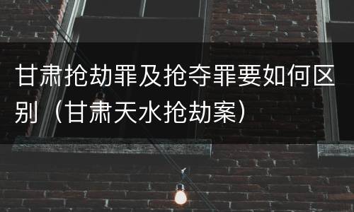甘肃抢劫罪及抢夺罪要如何区别（甘肃天水抢劫案）
