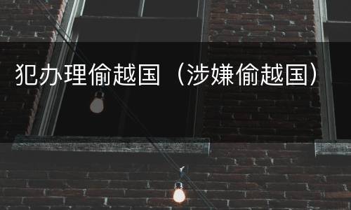 犯办理偷越国（涉嫌偷越国）