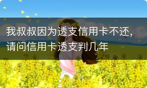 我叔叔因为透支信用卡不还，请问信用卡透支判几年