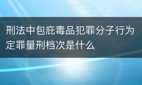 刑法中包庇毒品犯罪分子行为定罪量刑档次是什么