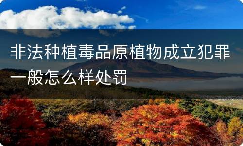 非法种植毒品原植物成立犯罪一般怎么样处罚