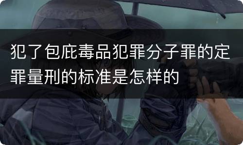 犯了包庇毒品犯罪分子罪的定罪量刑的标准是怎样的