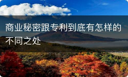 商业秘密跟专利到底有怎样的不同之处