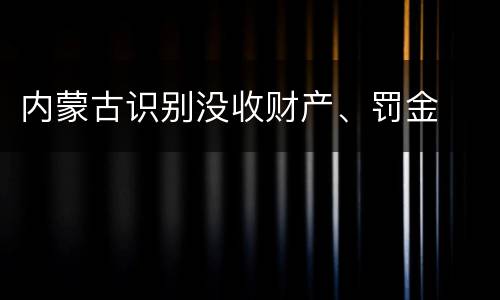 内蒙古识别没收财产、罚金