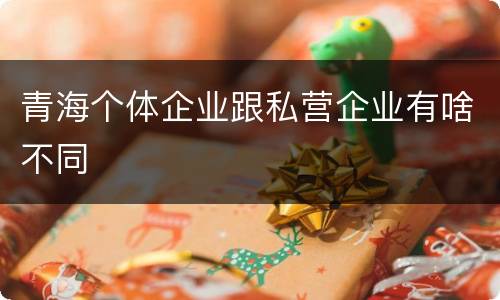 青海个体企业跟私营企业有啥不同