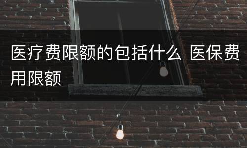 医疗费限额的包括什么 医保费用限额