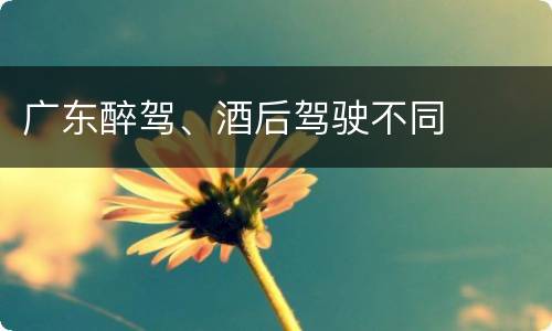 广东醉驾、酒后驾驶不同