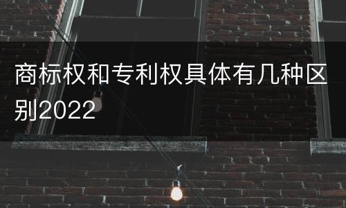 商标权和专利权具体有几种区别2022