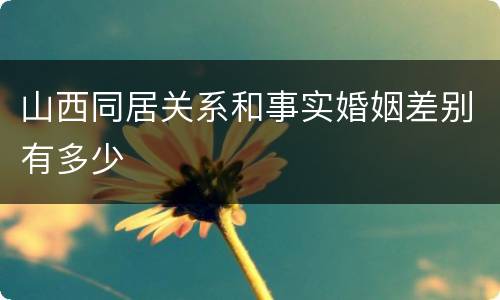 山西同居关系和事实婚姻差别有多少