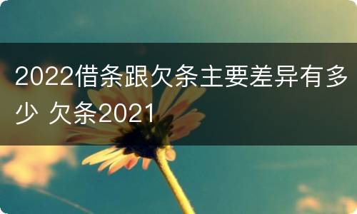 2022借条跟欠条主要差异有多少 欠条2021