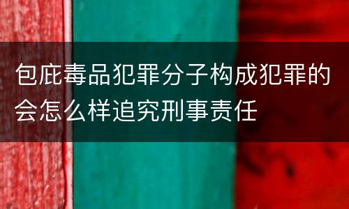 包庇毒品犯罪分子构成犯罪的会怎么样追究刑事责任
