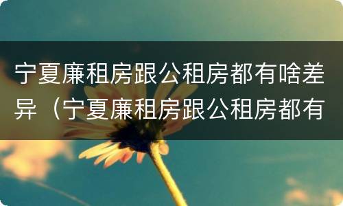 宁夏廉租房跟公租房都有啥差异（宁夏廉租房跟公租房都有啥差异吗）