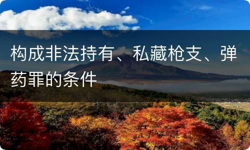 构成非法持有、私藏枪支、弹药罪的条件