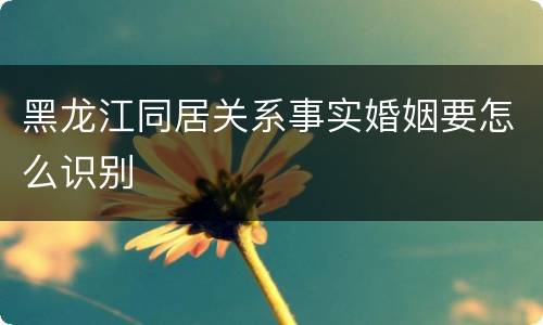 黑龙江同居关系事实婚姻要怎么识别