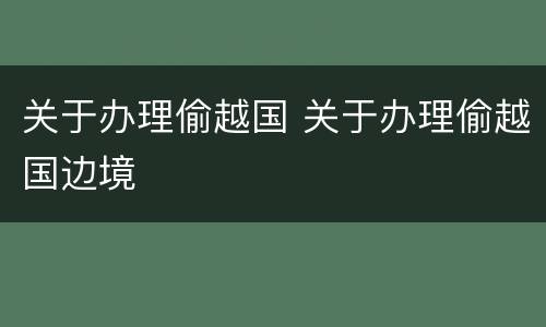 关于办理偷越国 关于办理偷越国边境