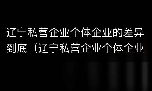辽宁私营企业个体企业的差异到底（辽宁私营企业个体企业的差异到底有多大）