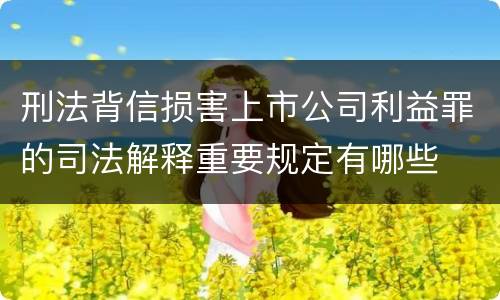 刑法背信损害上市公司利益罪的司法解释重要规定有哪些