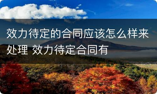 效力待定的合同应该怎么样来处理 效力待定合同有