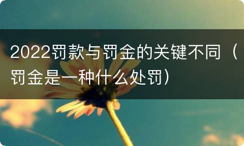 2022罚款与罚金的关键不同（罚金是一种什么处罚）