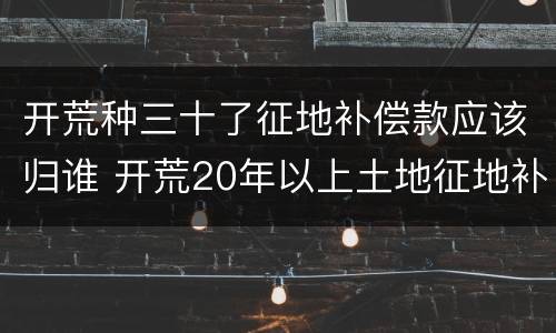开荒种三十了征地补偿款应该归谁 开荒20年以上土地征地补偿款归谁