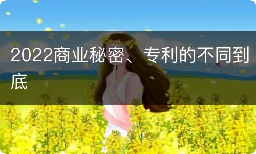 2022商业秘密、专利的不同到底