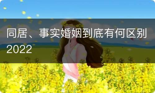 同居、事实婚姻到底有何区别2022